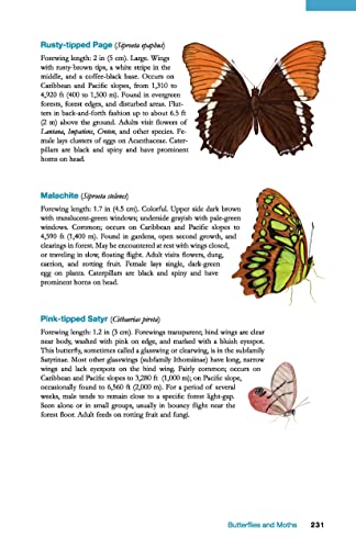 The Wildlife of Costa Rica: A Field Guide (Zona Tropical Publications)