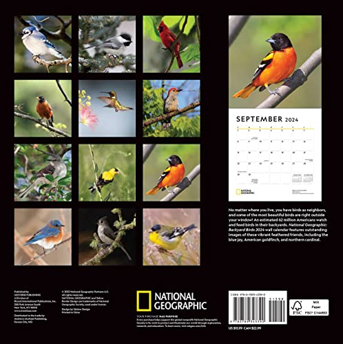 National Geographic: Backyard Birds 2024 Wall Calendar