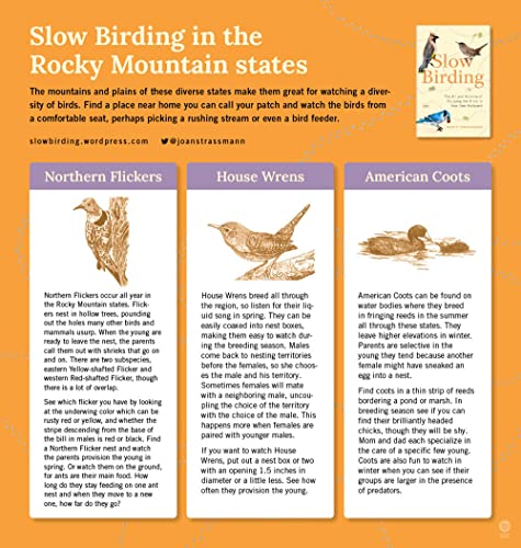 Slow Birding: The Art and Science of Enjoying the Birds in Your Own Backyard