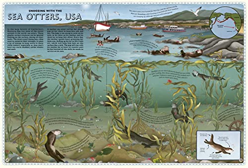 Atlas of Ocean Adventures: A Collection of Natural Wonders, Marine Marvels and Undersea Antics from Across the Globe