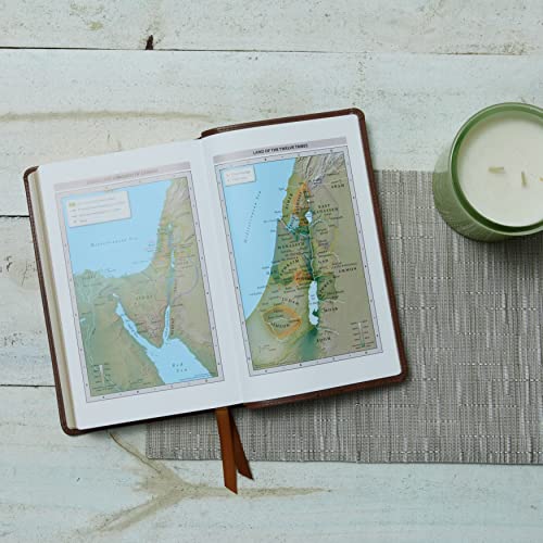 NRSV Catholic Edition Gift Bible, Brown Leathersoft (Comfort Print, Holy Bible, Complete Catholic Bible, NRSV CE): Holy Bible