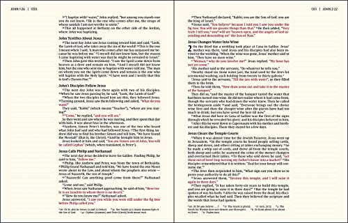 NIV, Artisan Collection Bible for Girls, Cloth over Board, Pink Daisies, Designed Edges under Gilding, Red Letter, Comfort Print