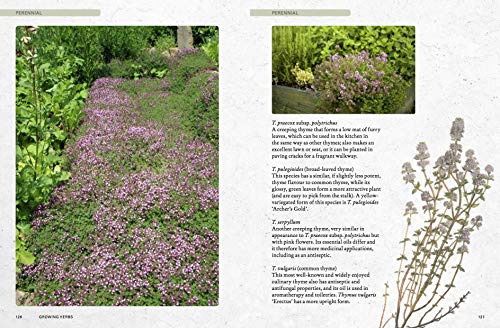 The Kew Gardener's Guide to Growing Herbs: The art and science to grow your own herbs (Volume 2) (Kew Experts, 2)