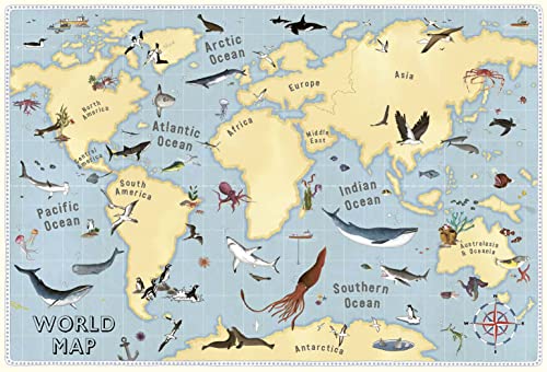 Atlas of Ocean Adventures: A Collection of Natural Wonders, Marine Marvels and Undersea Antics from Across the Globe