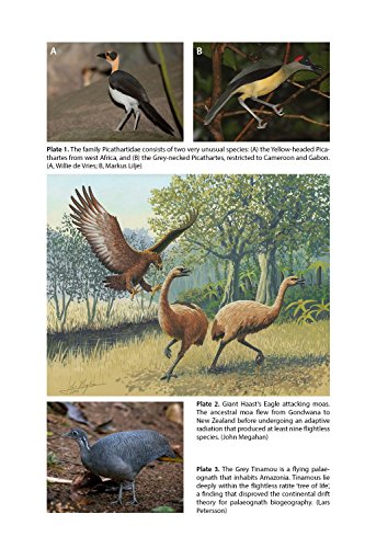 The Ascent of Birds: How Modern Science Is Revealing Their Story