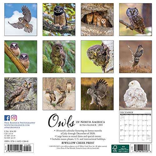 Owls 2021 Wall Calendar