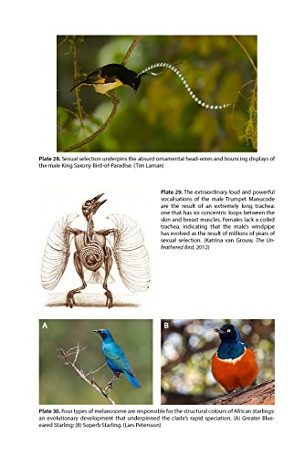 The Ascent of Birds: How Modern Science Is Revealing Their Story