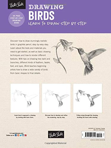 Drawing: Birds: Learn to draw step by step (How to Draw & Paint)