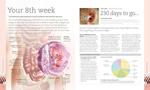 Pregnancy Day By Day: An Illustrated Daily Countdown to Motherhood, from Conception to Childbirth and