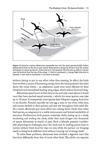The Ascent of Birds: How Modern Science Is Revealing Their Story