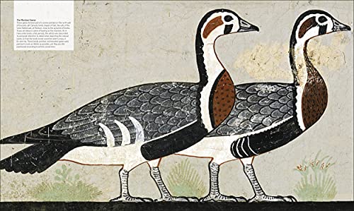 Ancient Egypt: The Definitive Visual History (DK Classic History)