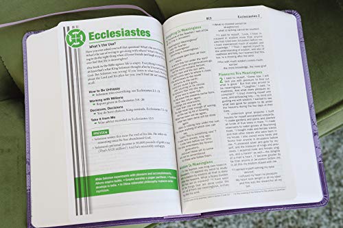 NIV, Teen Study Bible, Leathersoft, Purple