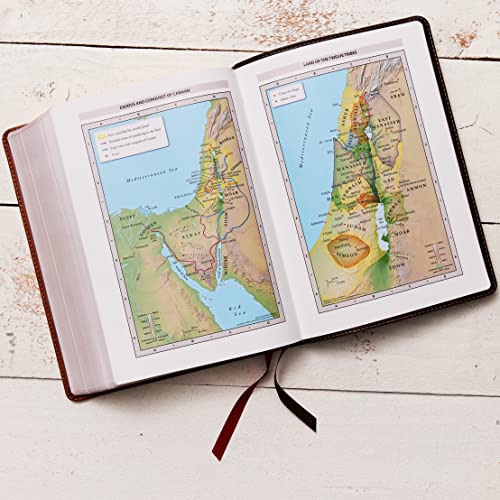 NASB, MacArthur Study Bible, 2nd Edition, Leathersoft, Brown, Comfort Print: Unleashing God's Truth One Verse at a Time