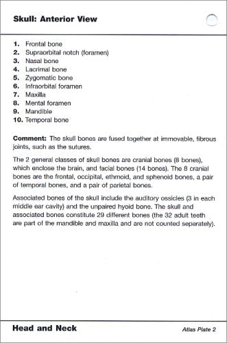 Netter's Anatomy Flash Cards: With STUDENT CONSULT Online Access (Netter Basic Science)
