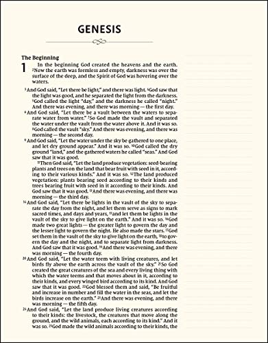 NIV, Artisan Collection Bible for Girls, Cloth over Board, Pink Daisies, Designed Edges under Gilding, Red Letter, Comfort Print