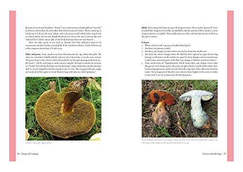 Edible Mushrooms: A forager's guide to the wild fungi of Britain, Ireland and Europe
