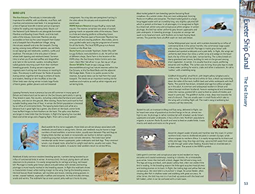 Collins/Nicholson Waterways Guide 7 – River Thames & the Southern Waterways: The Bestselling Guides to Britain's Canals and Rivers