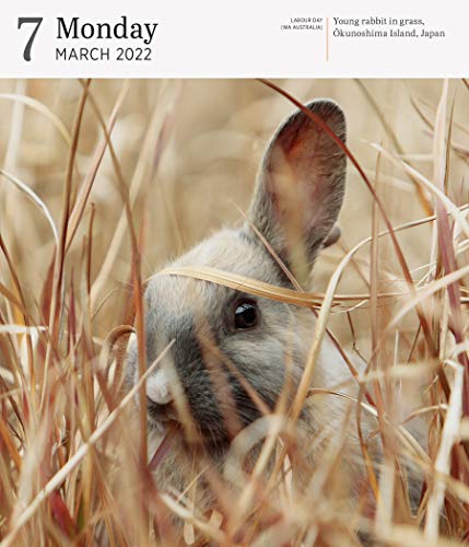 Audubon Nature Page-A-Day Gallery Calendar 2022: A wilderness escape every single day