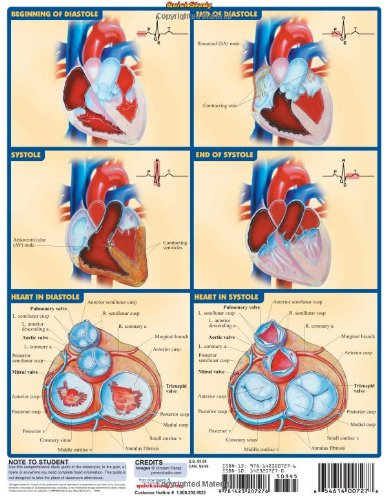 Heart (Quick Study Academic)
