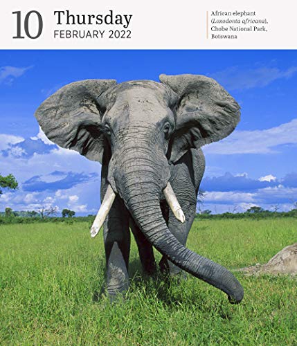 Audubon Nature Page-A-Day Gallery Calendar 2022: A wilderness escape every single day