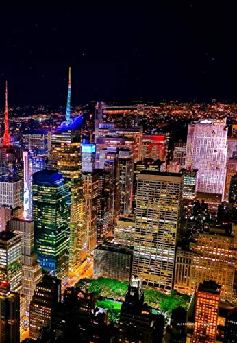 Lonely Planet Pocket New York City 7 (Travel Guide)