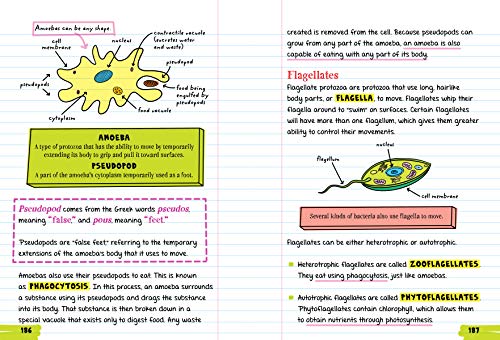 Workman Publishing Company - To Ace Biology in One Big Fat Notebook