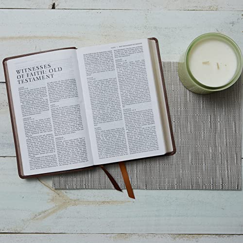 NRSV Catholic Edition Gift Bible, Brown Leathersoft (Comfort Print, Holy Bible, Complete Catholic Bible, NRSV CE): Holy Bible