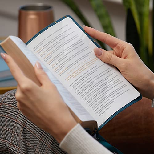 KJV, Thinline Bible Youth Edition, Leathersoft, Brown, Red Letter, Comfort Print: Holy Bible, King James Version