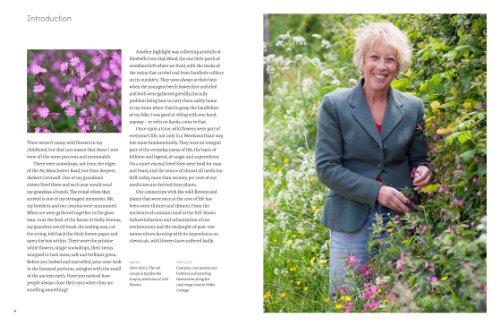 Wild Flowers: Nature's Own to Garden Grown