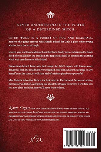 Miss Mabel's School for Girls (The Network Series)