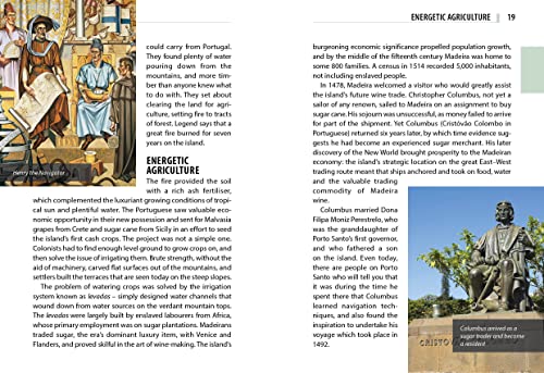 The Mini Rough Guide to Madeira (Travel Guide with Free eBook) (Mini Rough Guides)