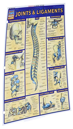Joints & Ligaments (Quick Study Academic)
