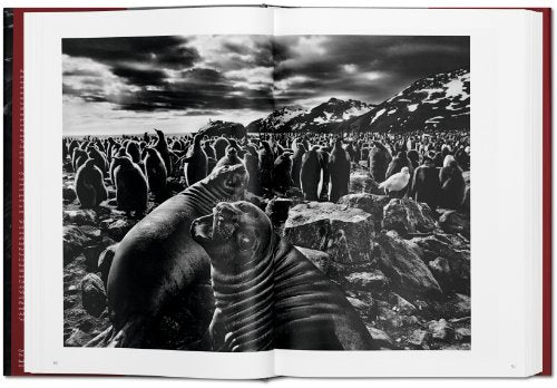 Sebastião Salgado: Genesis