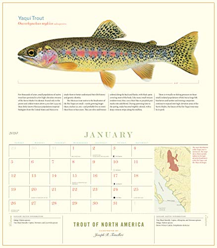 Trout of North America Wall Calendar 2020