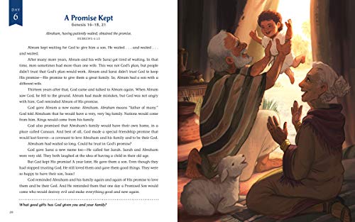 The Advent Storybook: 25 Bible Stories Showing Why Jesus Came (Bible Storybook Series)