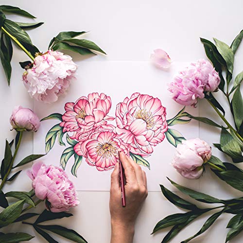 In Bloom: A Step-by-Step Guide to Drawing Lush Florals
