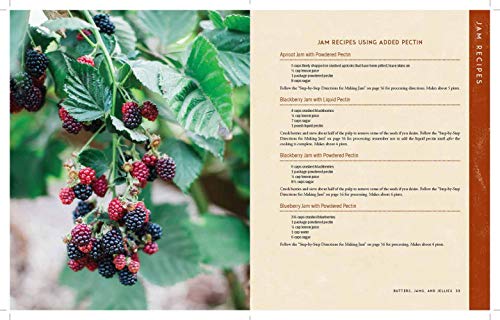 The Homestead Canning Cookbook: •Simple, Safe Instructions from a Certified Master Food Preserver •Over 150 Delicious, Homemade Recipes •Practical ... Lifestyle (The Homestead Essentials)