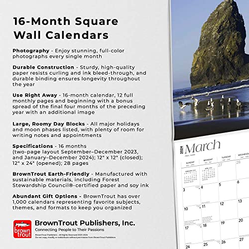 Oregon Coast | 2024 12 x 24 Inch Monthly Square Wall Calendar | BrownTrout | USA United States of America Pacific West State Ocean Sea Nature