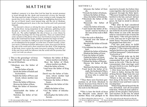 NIV, The Way for Cowboys New Testament with Psalms and Proverbs, Paperback