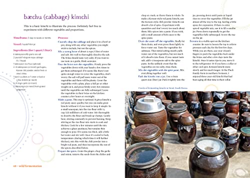 Wild Fermentation: The Flavor, Nutrition, and Craft of Live-Culture Foods, 2nd Edition