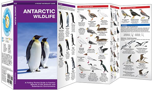 Antarctic Wildlife: A Folding Pocket Guide to Familiar Species of the Antarctic and Subantarctic Environments (Wildlife and Nature Identification)