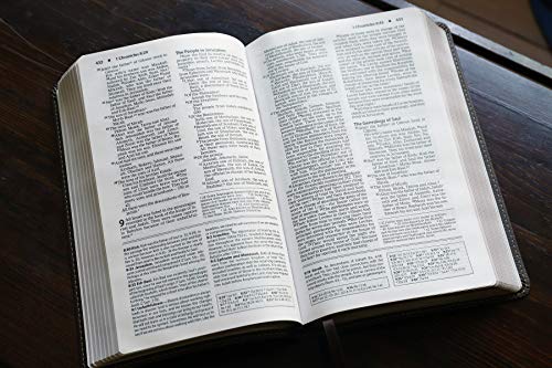 NIV, Foundation Study Bible, Leathersoft, Brown, Red Letter