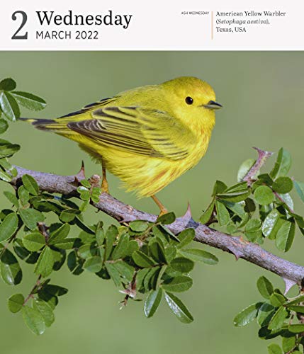 Audubon Nature Page-A-Day Gallery Calendar 2022: A wilderness escape every single day