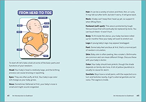 The Ultimate Baby Book for New Dads: 100 Ways to Care for Your Baby in Their First Year