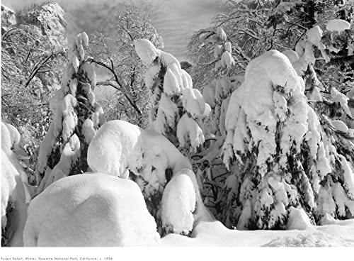 Ansel Adams 2023 Wall Calendar: Authorized Edition: 13-Month Nature Photography Collection (Monthly Calendar)