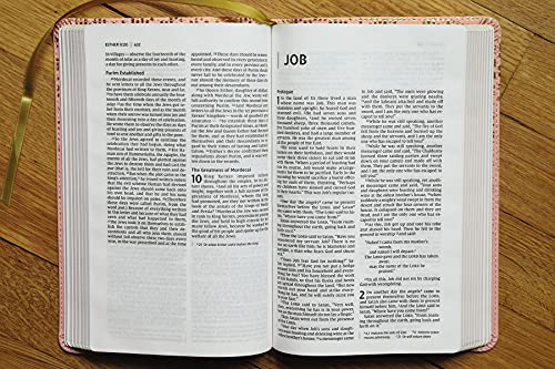 NIV, Bible for Teens, Thinline Edition, Leathersoft, Pink, Red Letter, Comfort Print