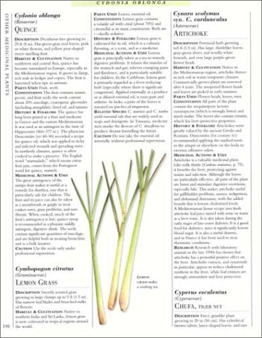 Encyclopedia of Herbal Medicine: The Definitive Home Reference Guide to 550 Key Herbs with all their Uses as Remedies for Common Ailments