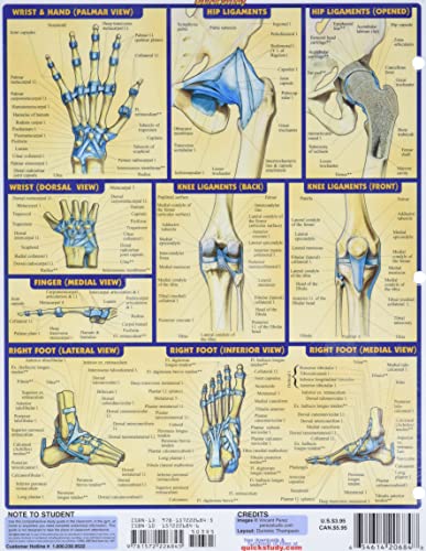 Joints & Ligaments (Quick Study Academic)