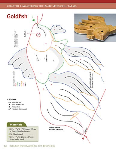 Intarsia Woodworking for Beginners: Skill-Building Lessons for Creating Beautiful Wood Mosaics: 25 Skill-Building Projects (Fox Chapel Publishing) Step-by-Step Instructions, Patterns, Tips & Tricks