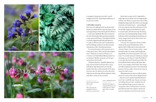 Wild Flowers: Nature's Own to Garden Grown